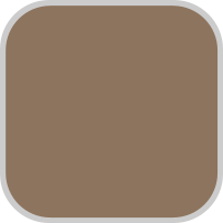 SHAMPOO PINTA CANAS MAX BELLE400 ML